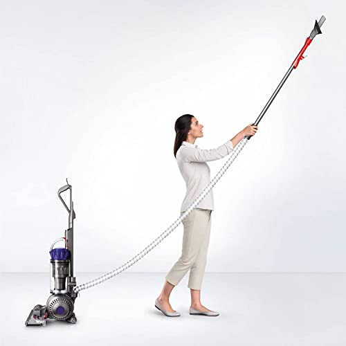 Ball Animal Origin Upright Vacuum Cleaner - Silver