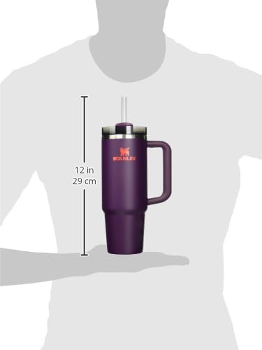 Stanley Quencher H2.0 FlowState 20 oz Stainless Steel Vacuum Insulated Tumbler with Lid and Straw Charcoal