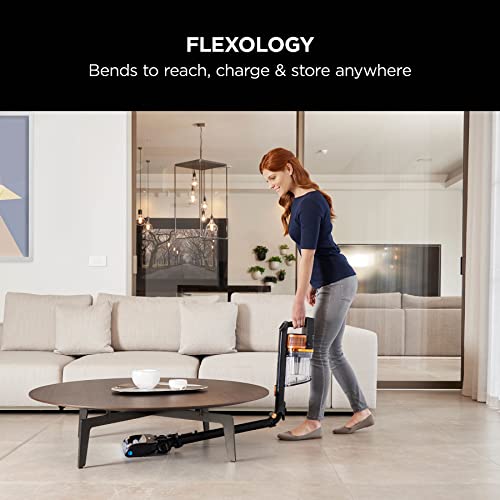 IZ300UK Anti Hair Wrap Cordless Stick Vacuum Cleaner
