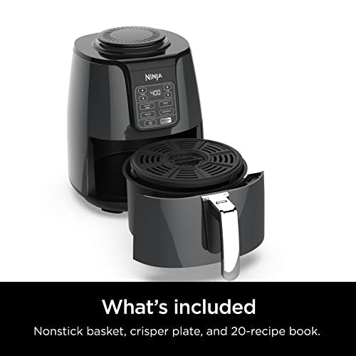 AF101 Air Fryer that Crisps