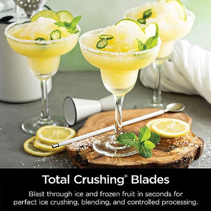 BL660 Professional Compact Smoothie & Food Processing Blender