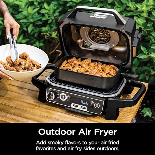 Woodfire Pro 7-in-1 Grill & Smoker with Thermometer
