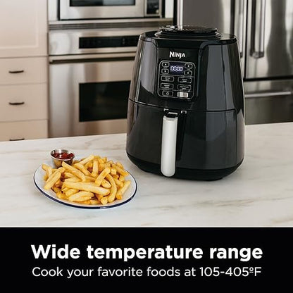 AF101 Air Fryer that Crisps
