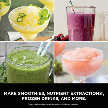 BL660 Professional Compact Smoothie & Food Processing Blender