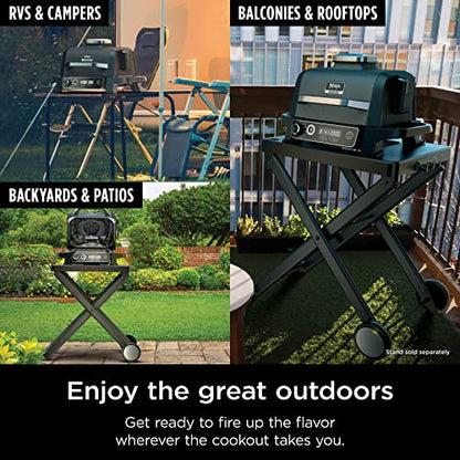 Woodfire Pro 7-in-1 Grill & Smoker with Thermometer