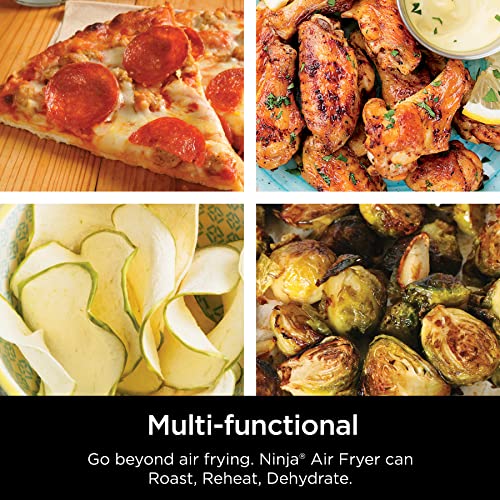 AF101 Air Fryer that Crisps
