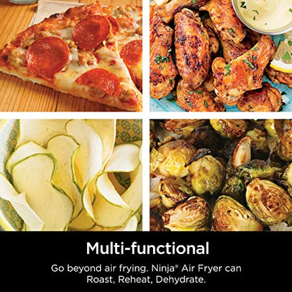 AF101 Air Fryer that Crisps