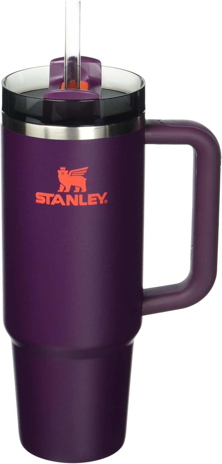 Stanley Quencher H2.0 FlowState 20 oz Stainless Steel Vacuum Insulated Tumbler with Lid and Straw Charcoal