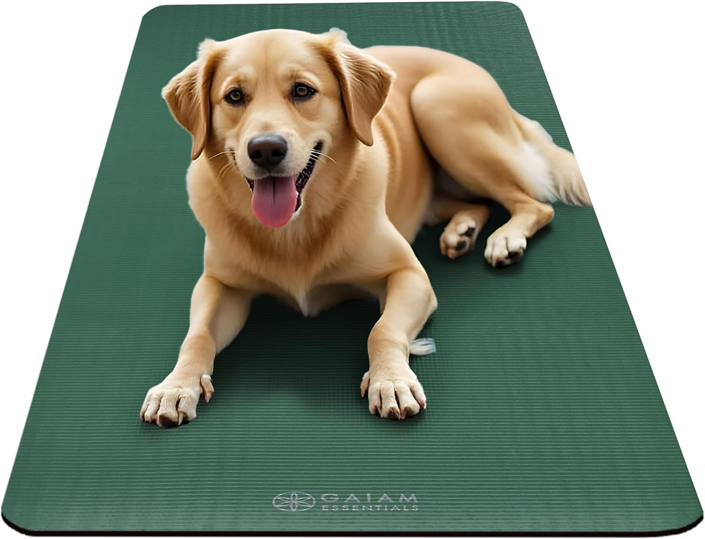 Gaiam Thick Yoga Mat Extra Cushioned NBR Foam Non-Slip Exercise Fitness Mat with Carrying Strap 72 x 24 Inch