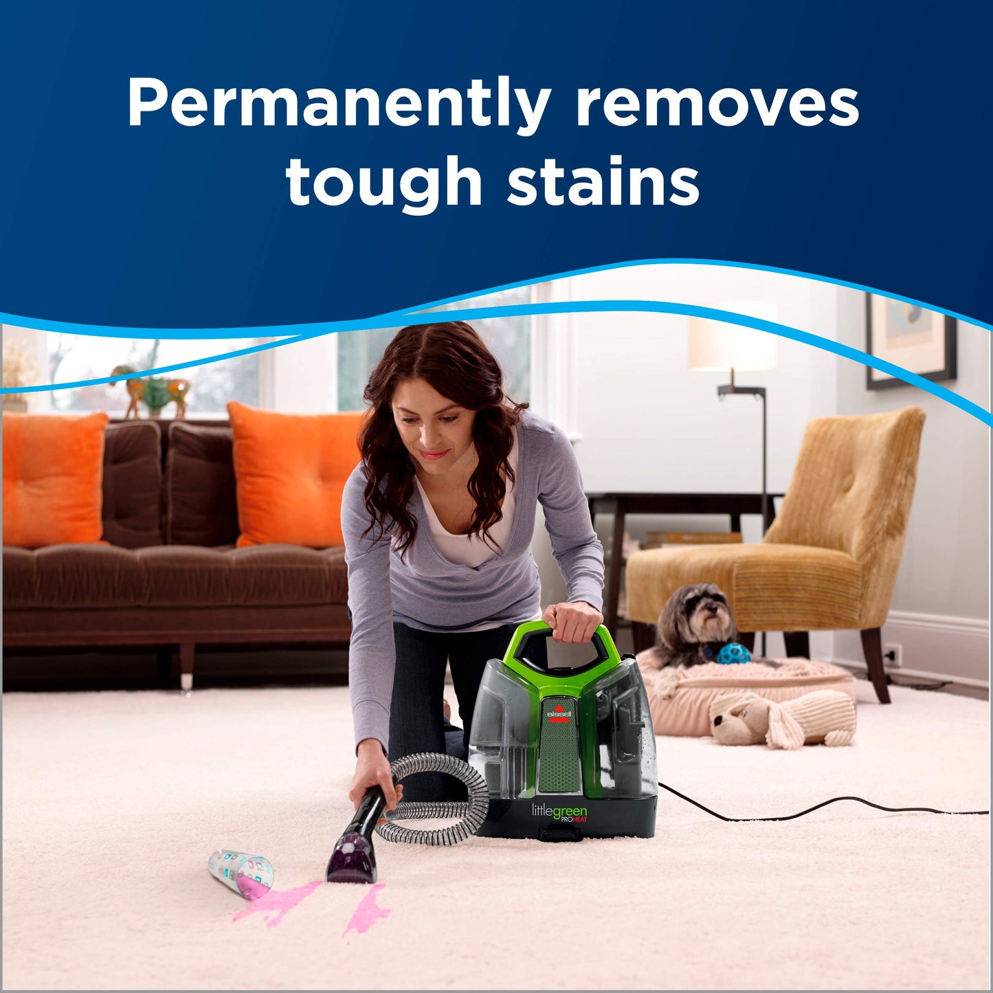 Little Green Proheat Portable Deep Cleaner/Spot Cleaner