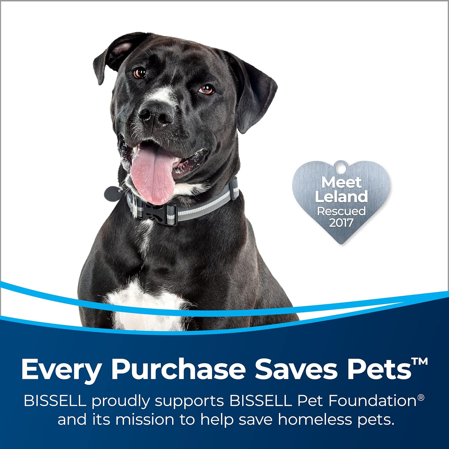 Bissell MultiClean Allergen Lift-Off Pet Vacuum HEPA Sealed System Tangle-Free 2998