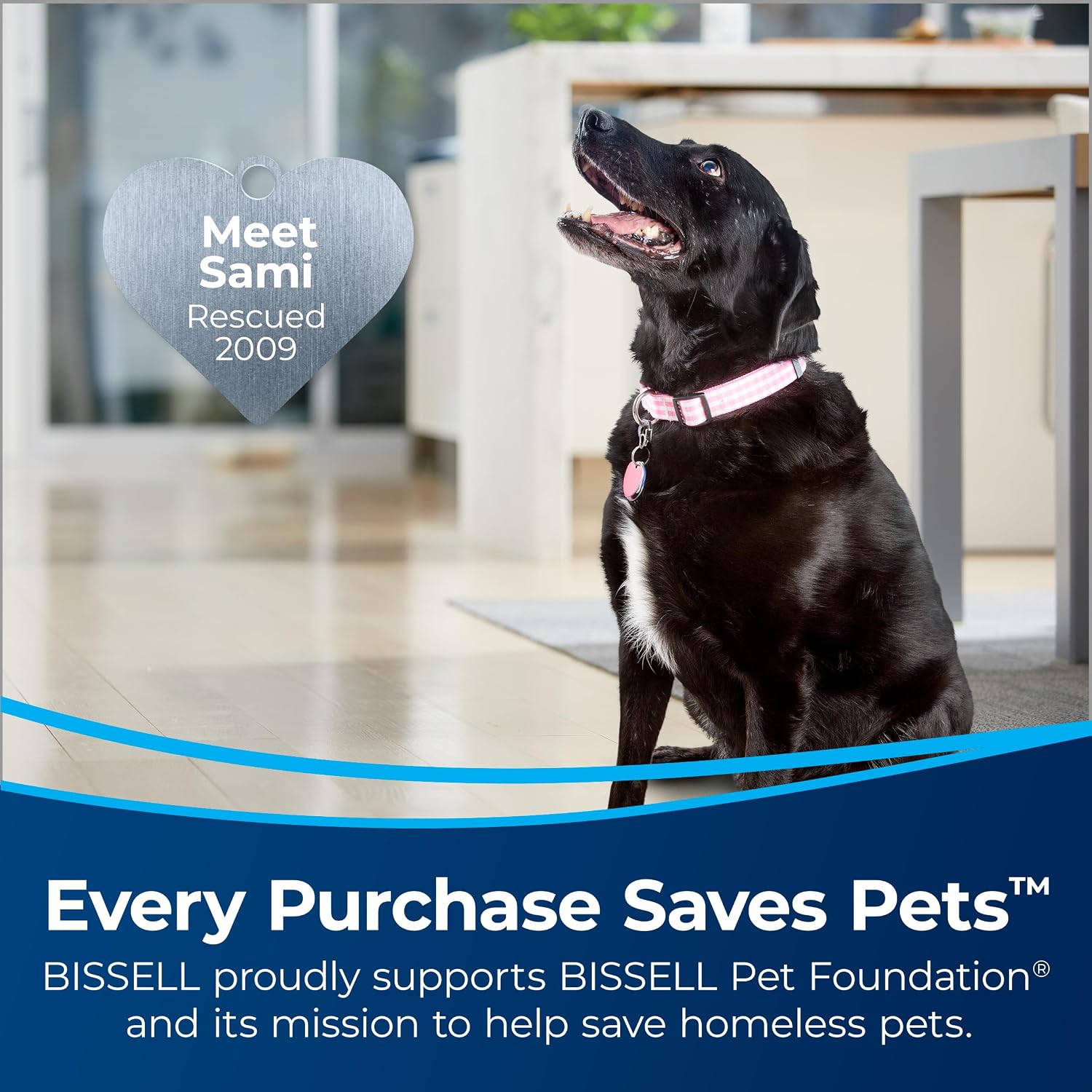 Bissell CleanView Swivel Pet Reach Upright Vacuum Quick Release Wand Triple Action Brush Roll 1.06 qt 18.4 lb 3198A